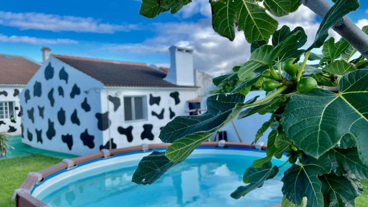 Azores Cow House Calhetas Dış mekan fotoğraf