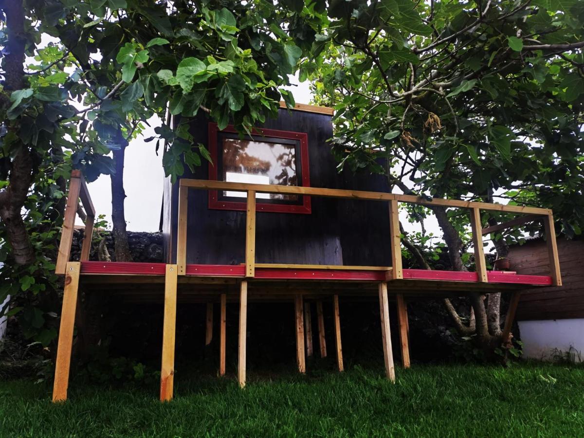 Azores Cow House Calhetas Dış mekan fotoğraf